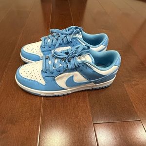 Blue Dunks (Nike Shoes) Size 9.5
